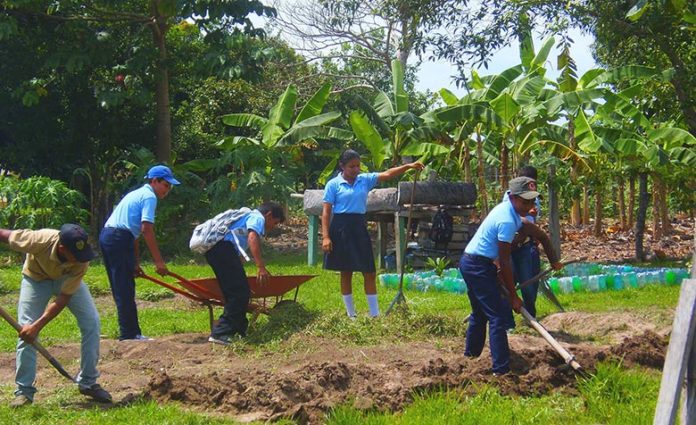 Au Venezuela, la permaculture s'invite à l'école