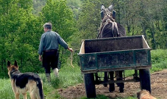 Portraits de citoyens qui construisent Demain avec Sarah Roubato