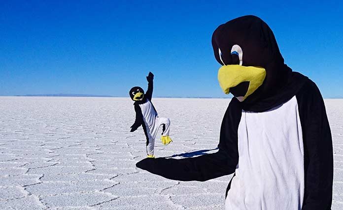 Ils rejoignent l’Antarctique en stop déguisés en manchots pour la cause