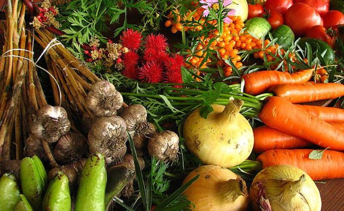 Une première étude chiffre les bénéfices de l’agriculture bio