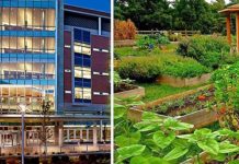 Cet hôpital utilise son propre potager bio pour alimenter les patients