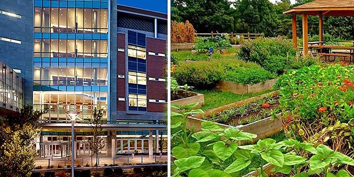 Cet hôpital utilise son propre potager bio pour alimenter les patients