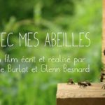 Abeille2