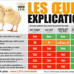 tableau-comparatif-oeufs-fonction-du-mode-d-elevage-900px