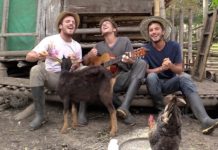 WWOOFING, le voyage éco-solidaire et gratuit expliqué dans une vidéo amusante