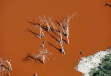 « Zone Rouge » : scandale au goût d’arsenic au cœur de la France