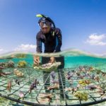 01_coral_guardian_2050