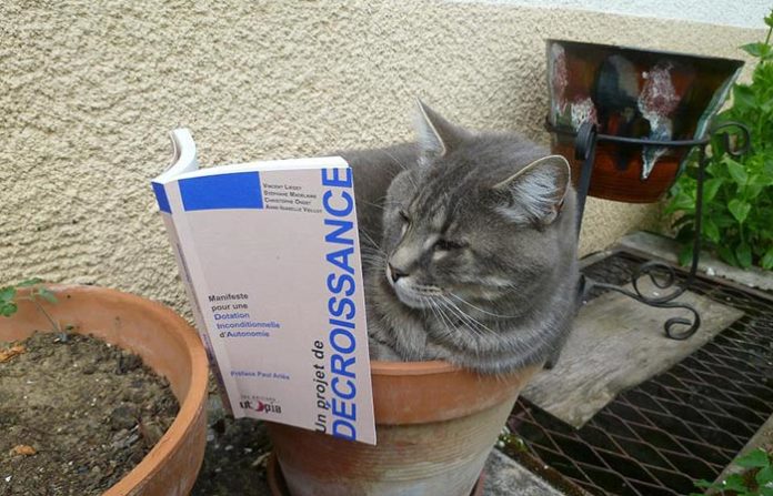 Décroissance et simplicité volontaire : quand la science s’en mêle