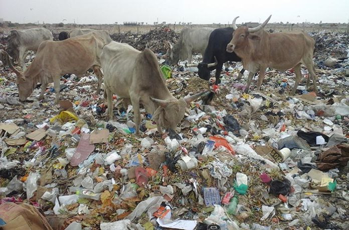 Deux français s’attaquent à une des villes les plus polluées au monde