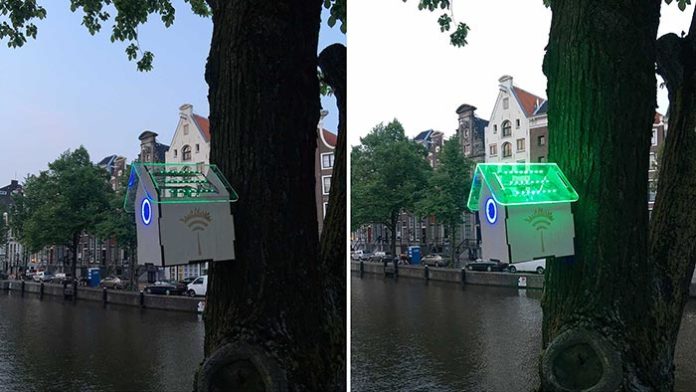 Amsterdam : ces nichoirs intelligents livrent du WIFI gratuit à une seule condition