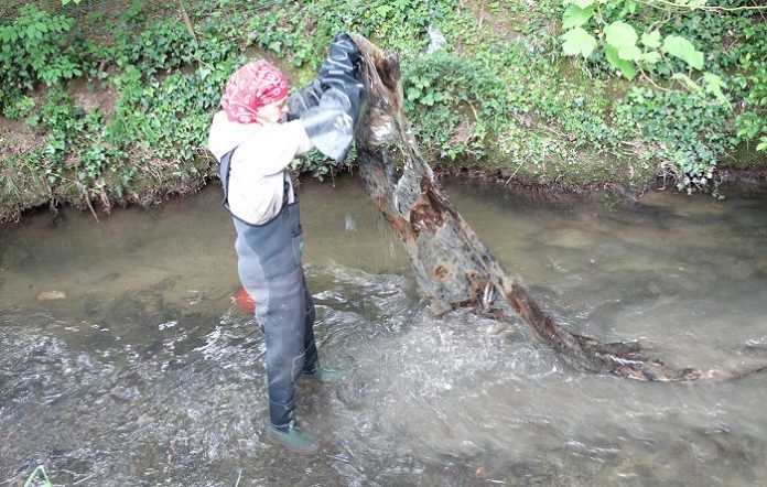 Une demandeuse d’emploi ramasse plusieurs tonnes de déchets bénévolement