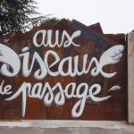 Auxoiseauxdepassage3