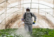 Un rapport de l’ONU remet en cause l’utilité des pesticides
