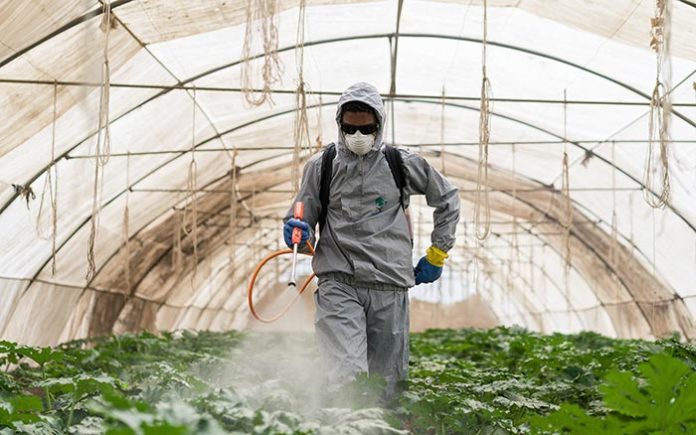 Un rapport de l’ONU remet en cause l’utilité des pesticides