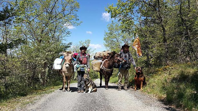 À la recherche du bonheur, ils traversent l’Europe avec ânes et chiens