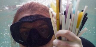 Quatre jeunes s’attaquent aux pailles en plastique, ce fléau invisible du quotidien