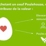 Poulhouse2