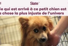 Aujourd’hui, on fête l’Esprit Critique !