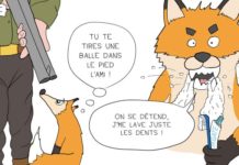 « Fantastique Renard » : la BD qui met les choses au clair !