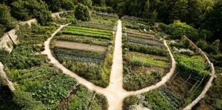 Monépi : l’initiative citoyenne qui bouleverse les codes de l’économie traditionnelle