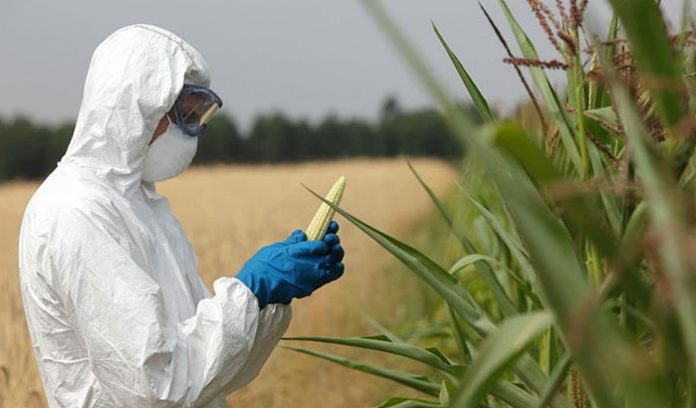 Canada : Monsanto orienterait la recherche universitaire