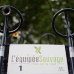 09_Cuisine_Sauvage