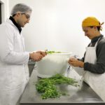 Local en Bocal – conserverie