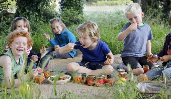 Du bio et du local dans les cantines d’Avignon ? Et pourquoi pas…