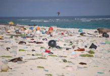 Des tonnes de déchets découverts sur une île déserte inhabitée