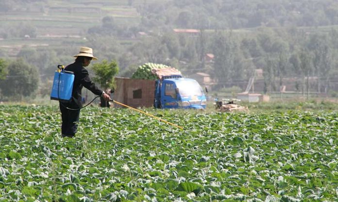 Pesticides : la Suisse exporte des produits interdits vers les pays en développement