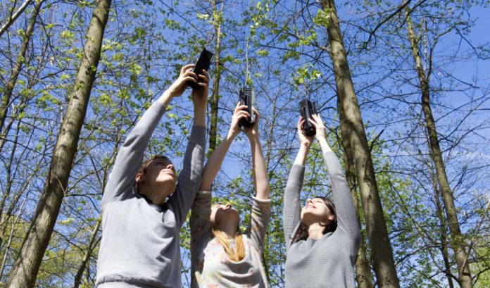 Ils veulent planter une forêt entière le 5 juin prochain ! #RéveilleTaNature