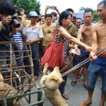 yulin