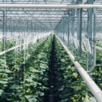 6-the-worlds-first-commercial-carbon-capture-plant-opened (1)