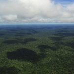 738_pic_by_neil_palmer_ciat_aerial_view_of_the_amazon_rainforest_flickr_cc
