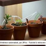 Jardin-d&rsquo;intérieur