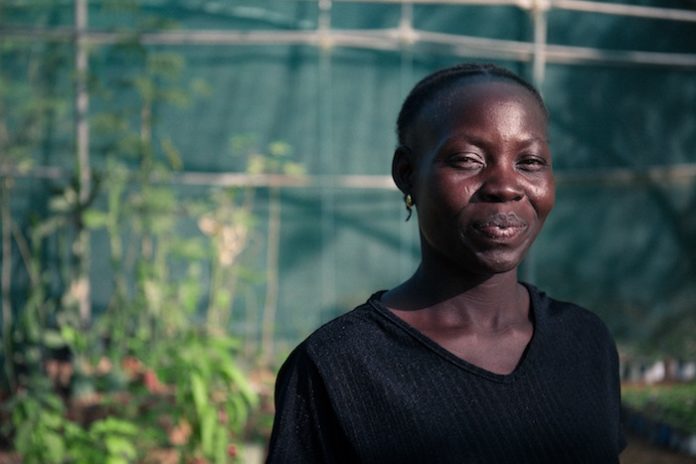 Dans le désert du Sahel, l’agriculture reprend ses droits