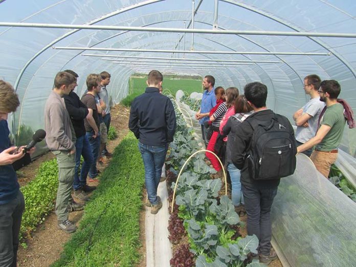 La permaculture pointe le bout de son nez dans l’enseignement supérieur belge