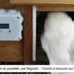 Poulailler-porte-automatique