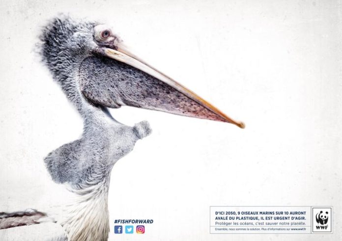 La sixième extinction de masse confirmée par les scientifiques