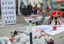 Un festival menacé par des défenseurs de l’agriculture industrielle