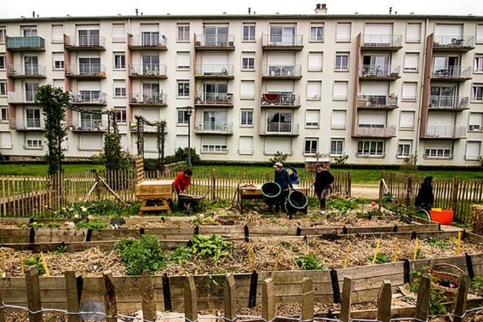 Les jardins partagés de Rennes photographiés par Martin Bertrand