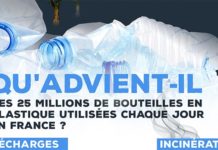 La face cachée des bouteilles en plastique en une infographie simple