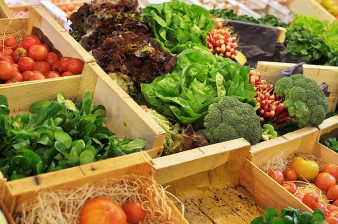 « Au coeur de la permaculture » : un livre pour une agriculture d’avenir