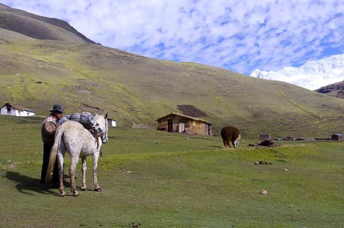 Contre le tourisme de masse, il décide de voyager en cargo porte-conteneurs