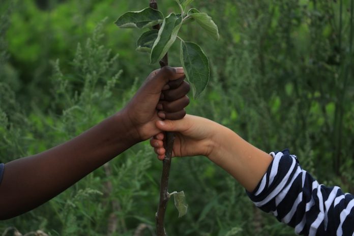 Du Mali à la Belgique : « on a tous à apprendre les uns des autres »