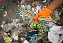 54 260 déchets évacués d’une plage : Nestlé, Unilever et P&G pointés du doigts