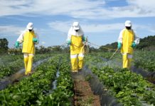 Suisse : un vote citoyen pour interdire les pesticides de synthèse