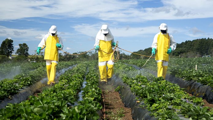 Suisse : un vote citoyen pour interdire les pesticides de synthèse