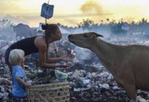 Engagez-vous dans un pays du Sud avec l’association « Abeille »