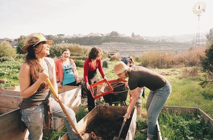San Francisco : ce « jardin partagé adossé à la colline » produit 11 tonnes de fruits et légumes
